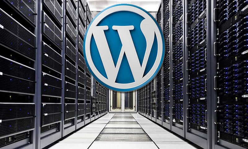 Web Hosting Service for WordPress Website