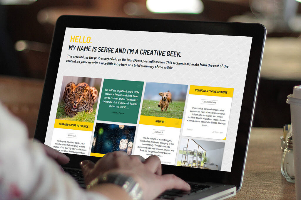 How to Choose A Responsive Website Design Theme? Digital Marketing