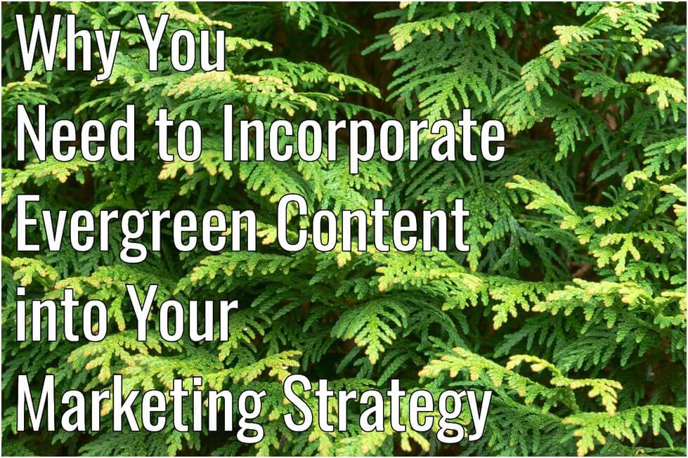 Why You Need to Incorporate Evergreen Content into Your Content Marketing Strategy Digital Marketing