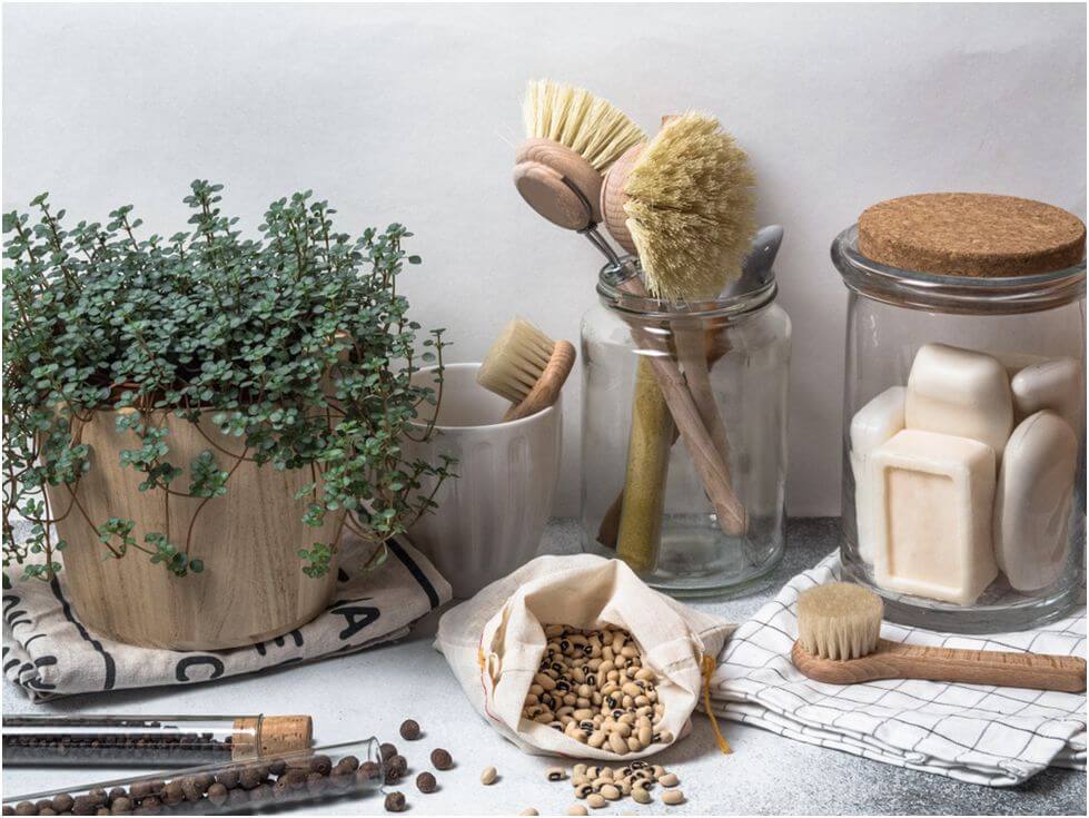 12 Ways to Make Your Kitchen More Eco-Friendly