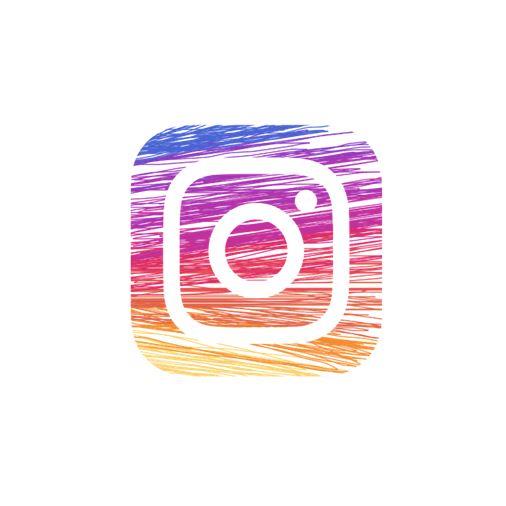 How to Grow Your Instagram Followers With Zero Dollar Budget